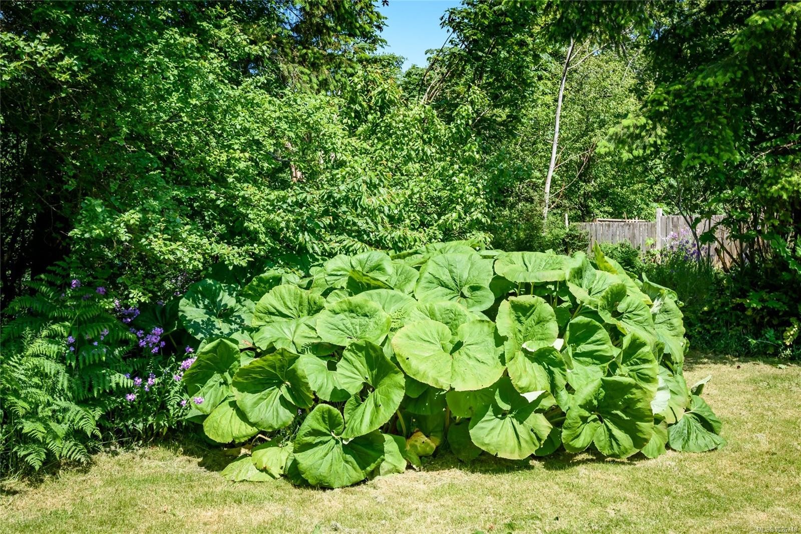 9437 Martin Park Dr, Black Creek, BC