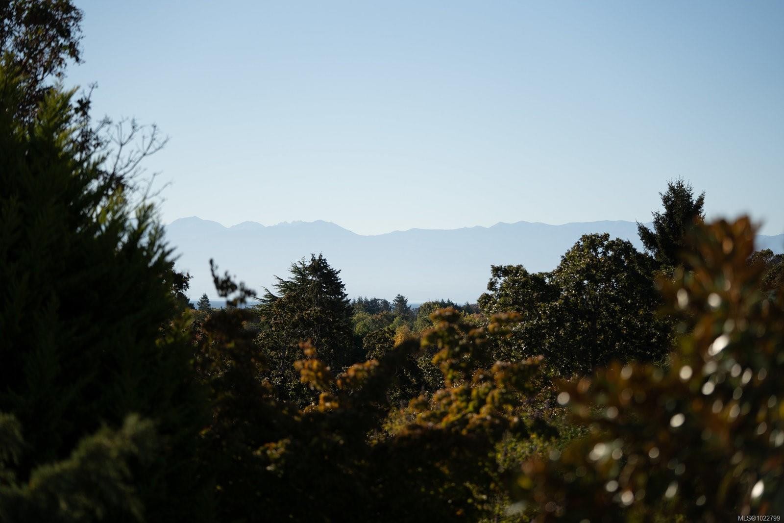 2162 Brighton Ave, Oak Bay, BC