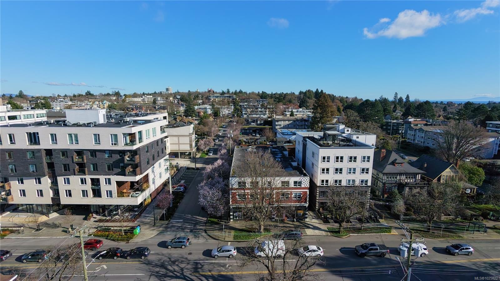 1026 Cook St, Victoria, BC