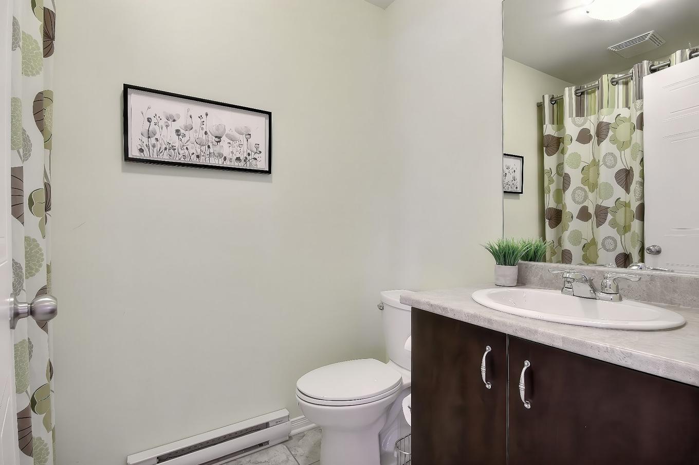 Salle d'eau - 20 Rue Joseph-Bepka, Blainville, QC - Indoor Photo Showing Bathroom
