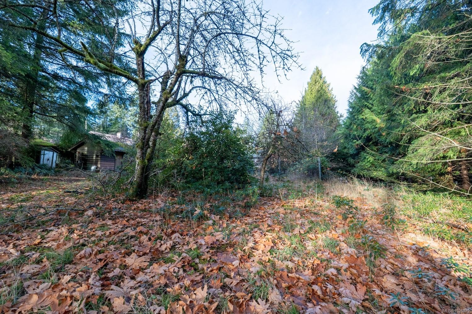 3383 Opal Rd, Nanaimo, BC - Outdoor