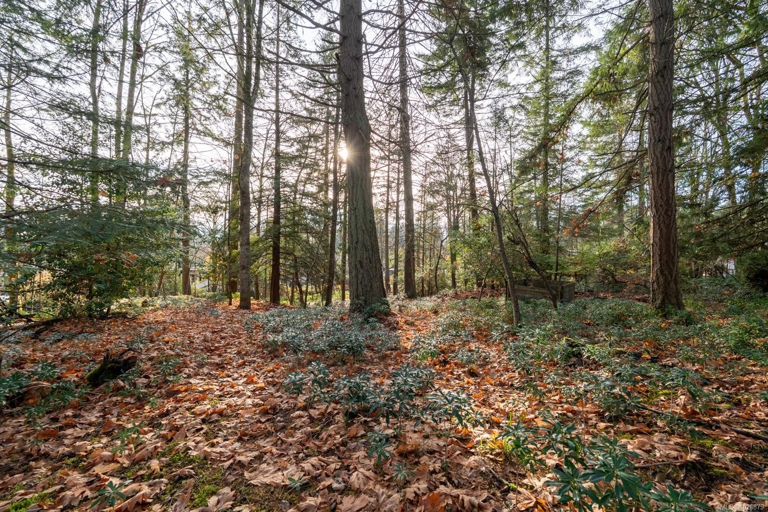 3383 Opal Rd, Nanaimo, BC - Outdoor With View
