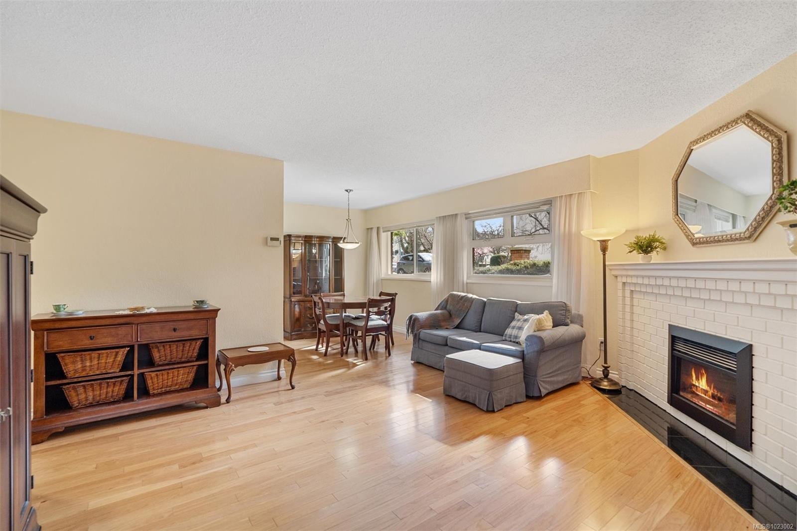 102-1052 Rockland Ave, Victoria, BC - Indoor Photo Showing Living Room With Fireplace