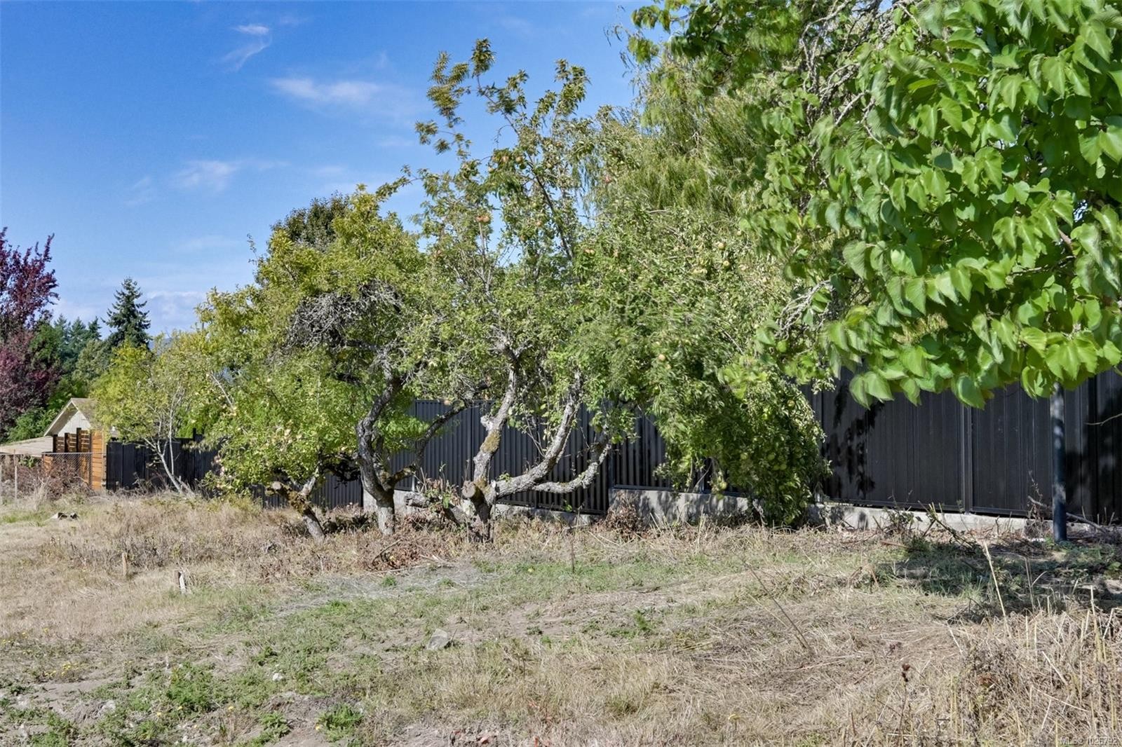 710 Violet Ave, Saanich, BC