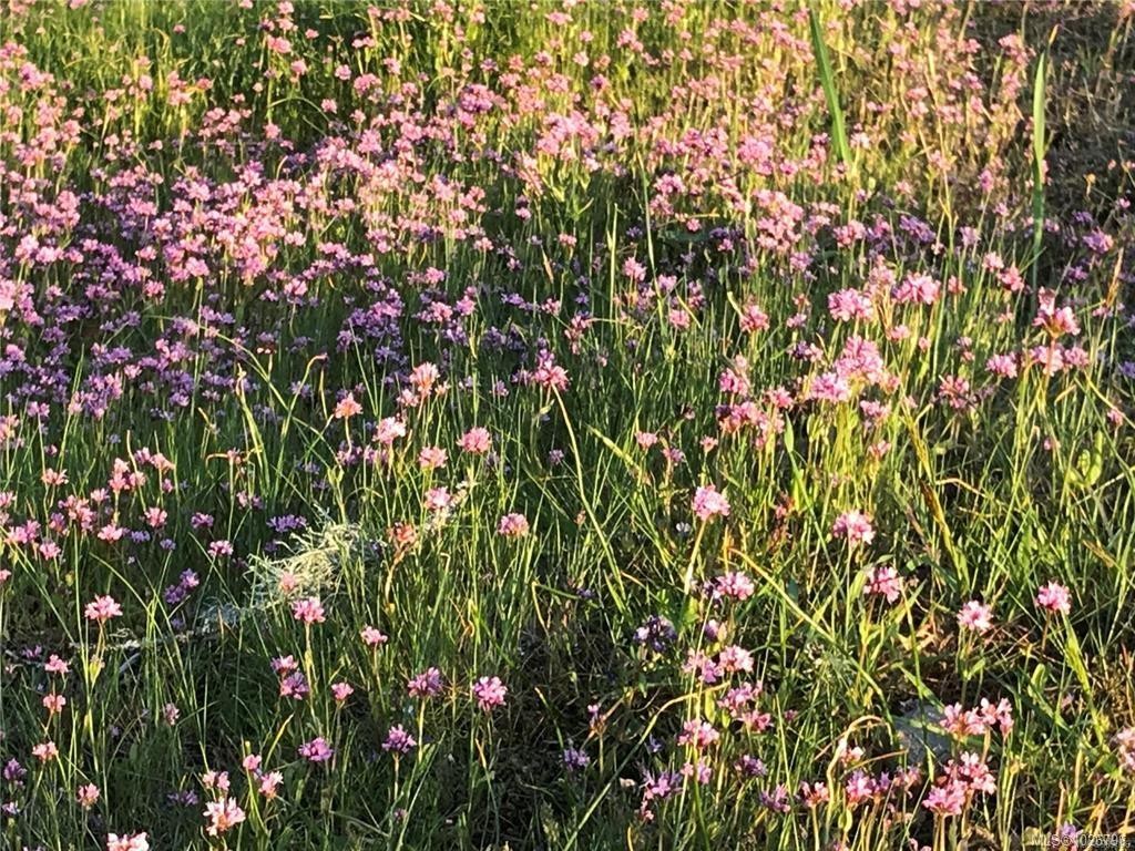 1390 Kurtis Cres, Nanaimo, BC