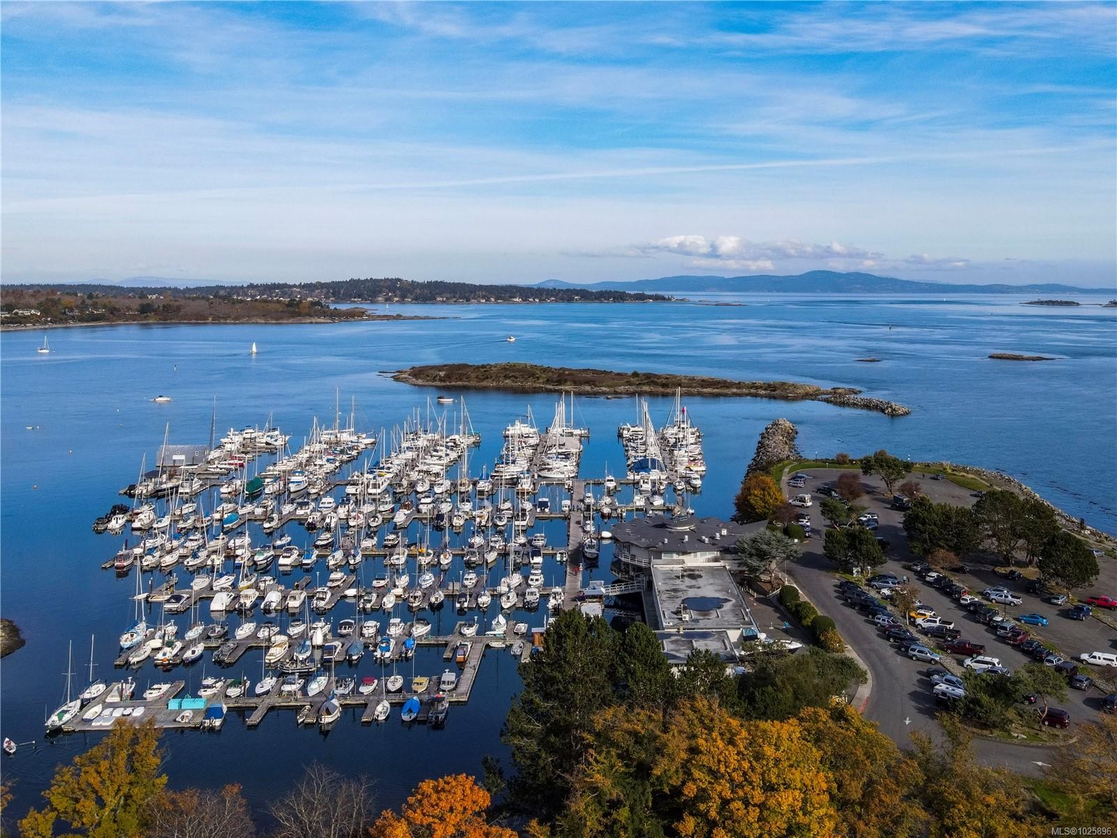 2231 Windsor Rd, Oak Bay, BC