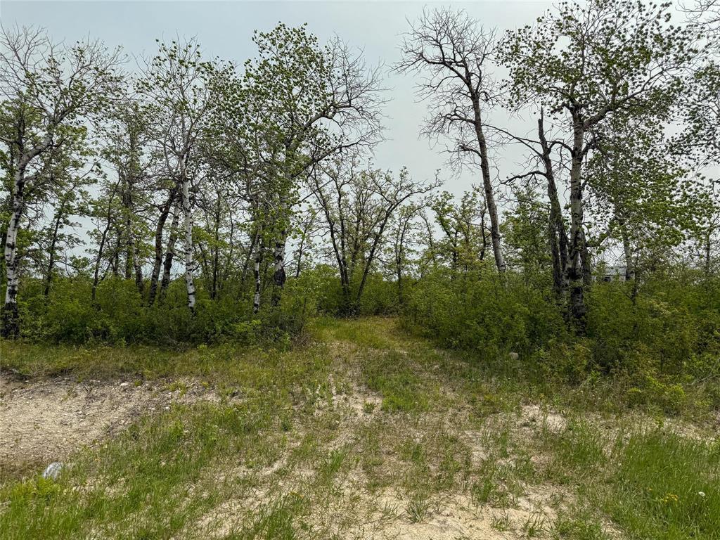 0 10 Road E, Komarno, MB