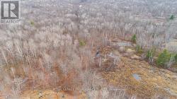 1446 FLINTON ROAD Tweed (Elzevir (Twp)), ON K0H 1P0