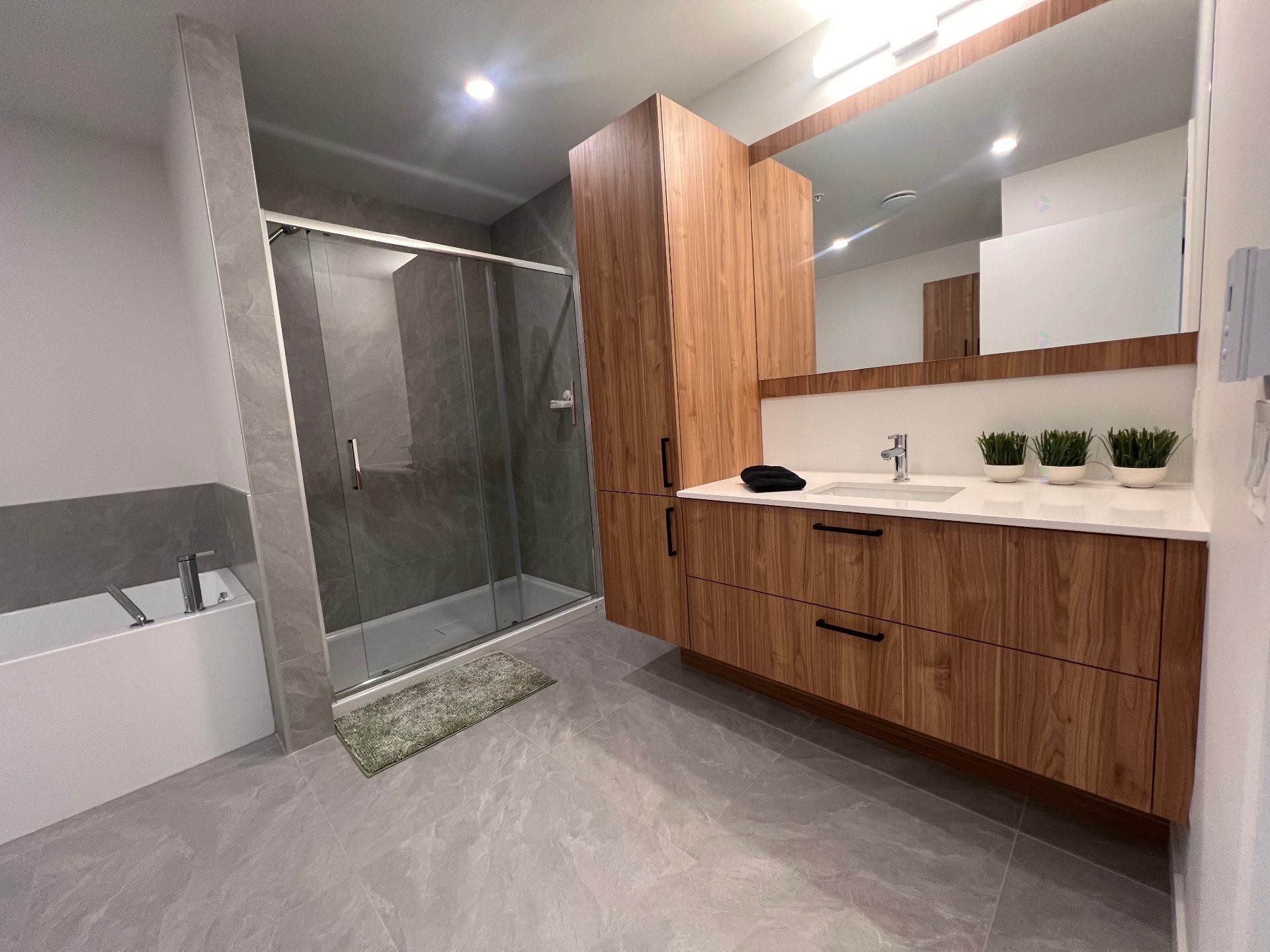 Salle de bains - 304-282 Rue Du Cardinal, Saint-Amable, QC - Indoor Photo Showing Bathroom