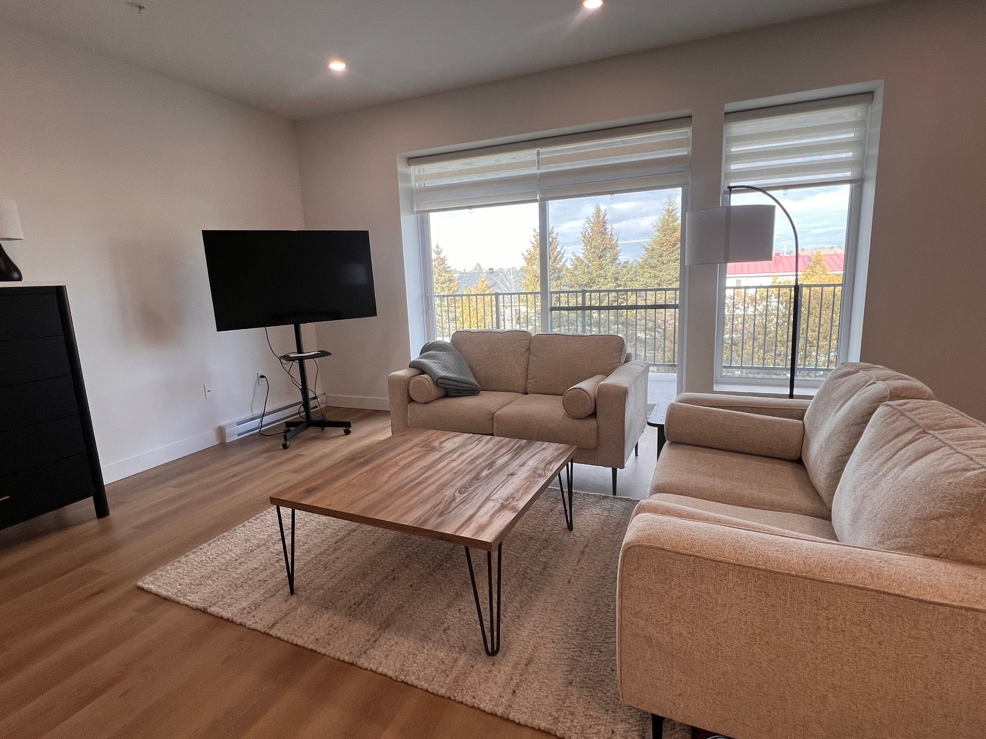 Salon - 304-282 Rue Du Cardinal, Saint-Amable, QC - Indoor Photo Showing Living Room