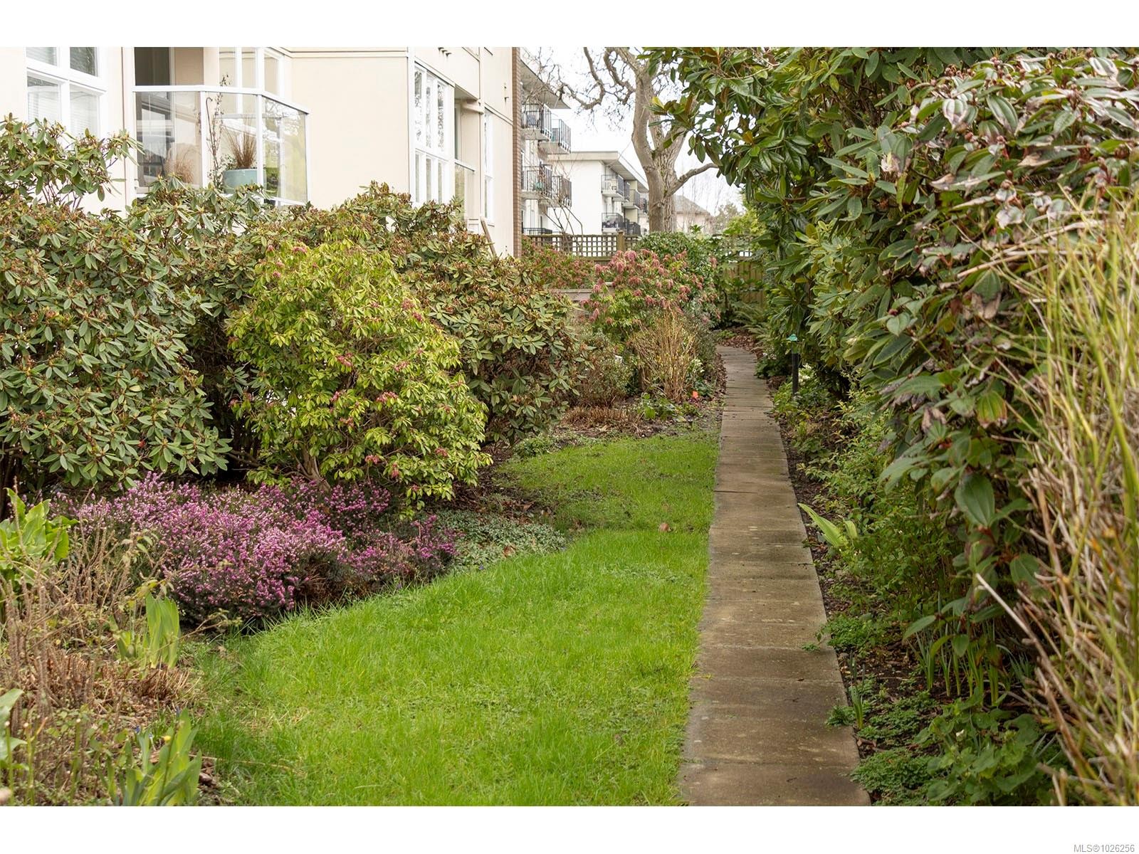 202-1501 Richmond Rd, Victoria, BC - Outdoor