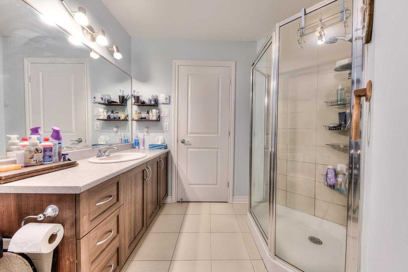 Bathroom - 105 Rue Roland-Chagnon, Saint-Basile-Le-Grand, QC - Indoor Photo Showing Bathroom