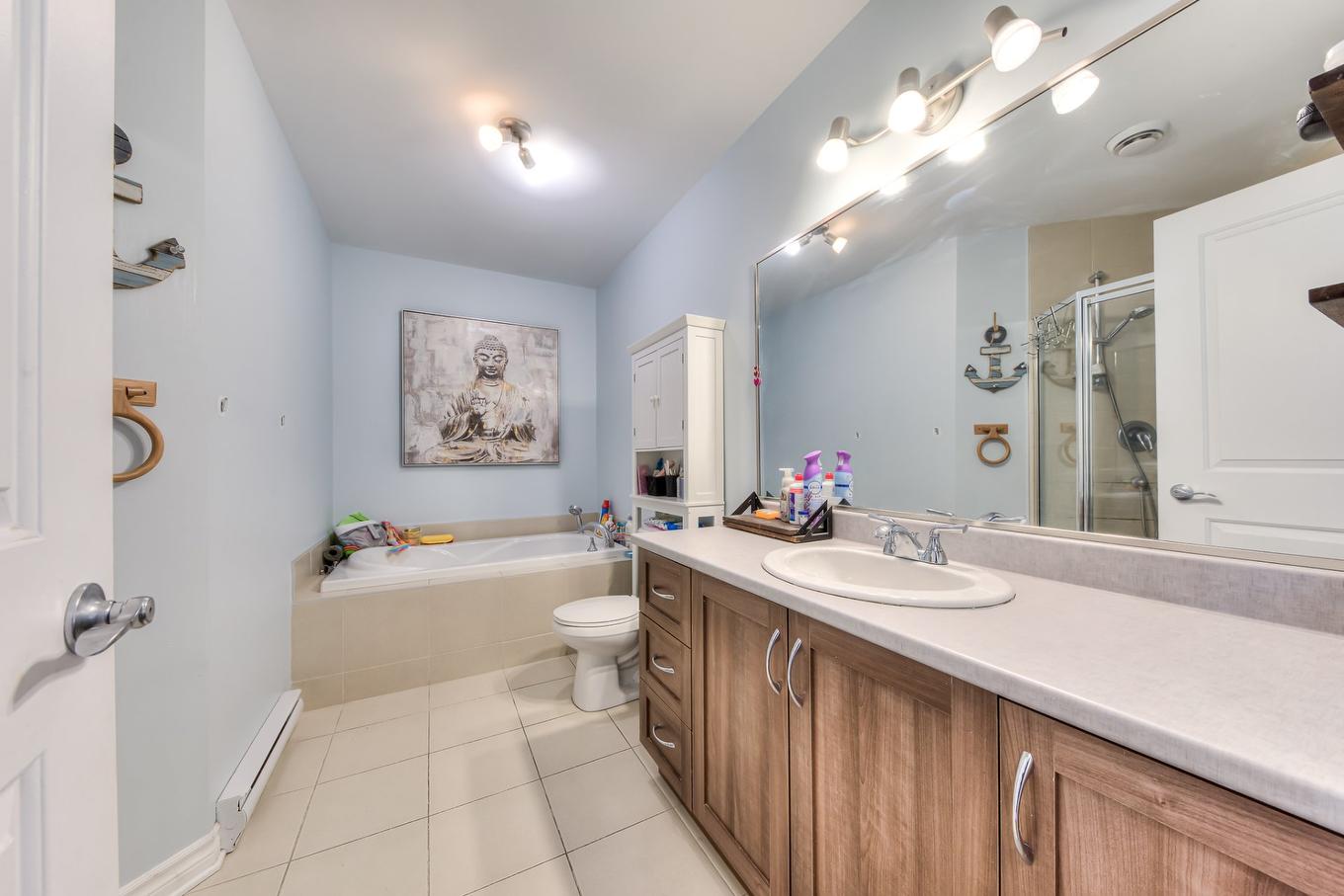 Bathroom - 105 Rue Roland-Chagnon, Saint-Basile-Le-Grand, QC - Indoor Photo Showing Bathroom