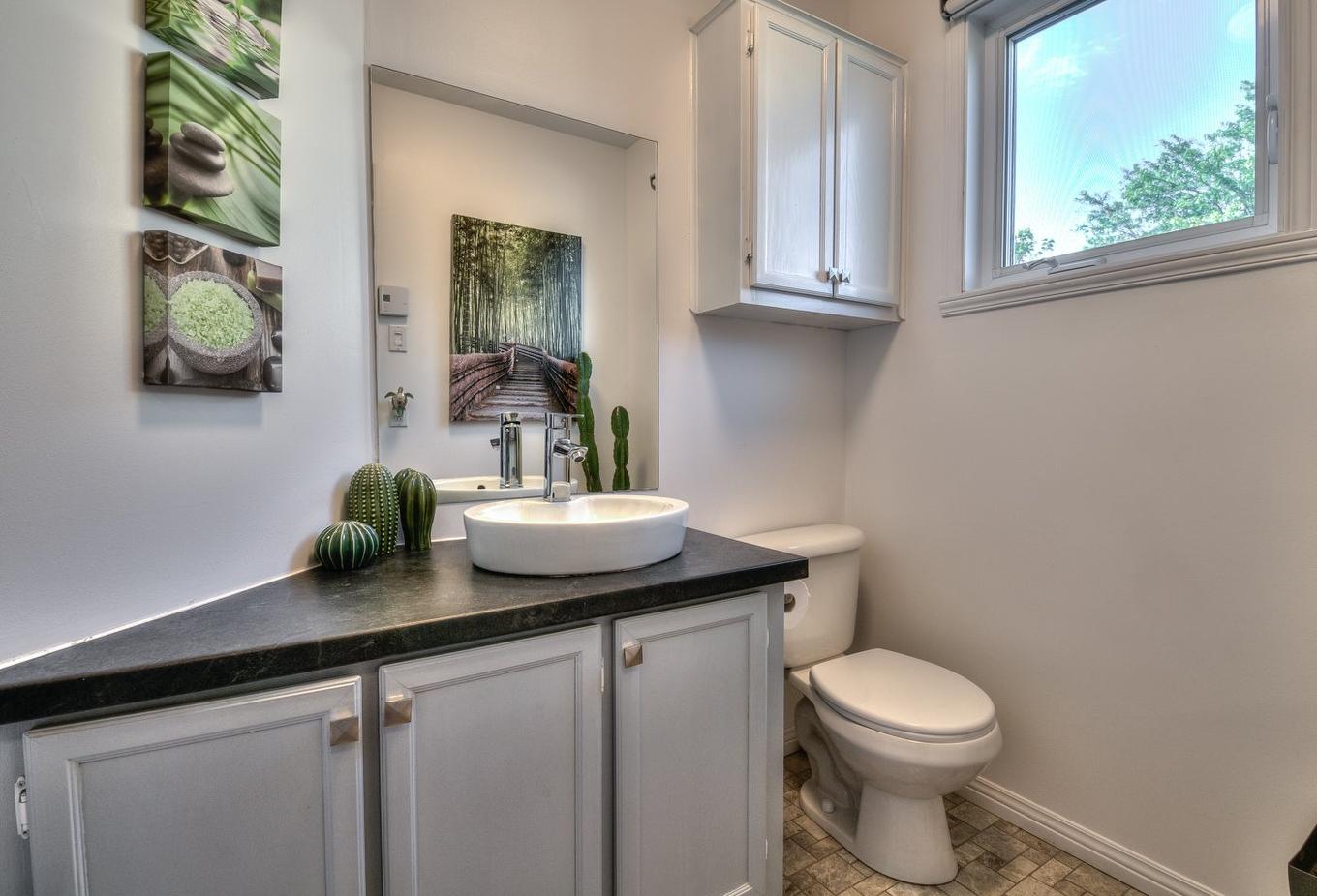 Salle d'eau - 306 Rue De Normandie, Sainte-Julie, QC - Indoor Photo Showing Bathroom