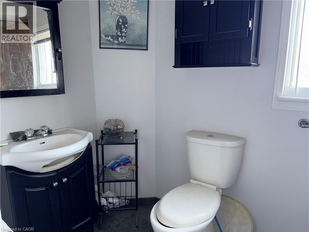 Bathroom featuring plenty of natural light and vanity - 14 Carlisle Street, Hamilton, ON - Indoor Photo Showing Bathroom