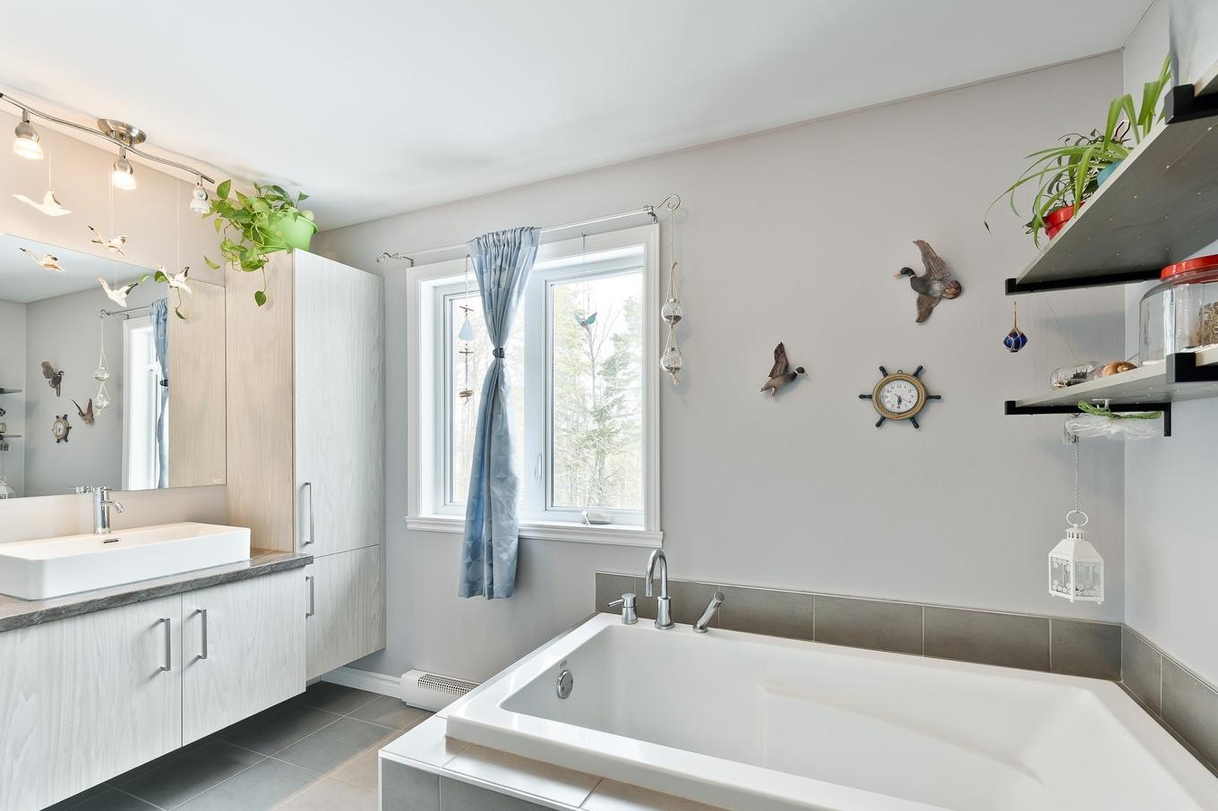 Bathroom - 168 Rue Des Érables, Eastman, QC - Indoor Photo Showing Bathroom