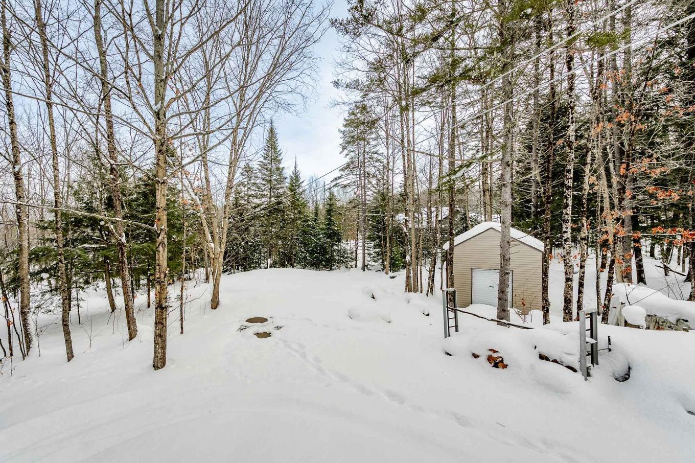 Land/Lot - 168 Rue Des Érables, Eastman, QC - Outdoor