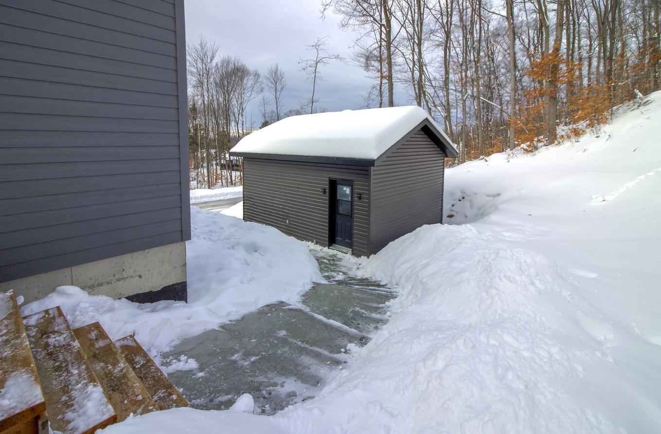 Back facade - 5220 Rue Tremblay, Notre-Dame-Du-Mont-Carmel, QC - Outdoor With Exterior