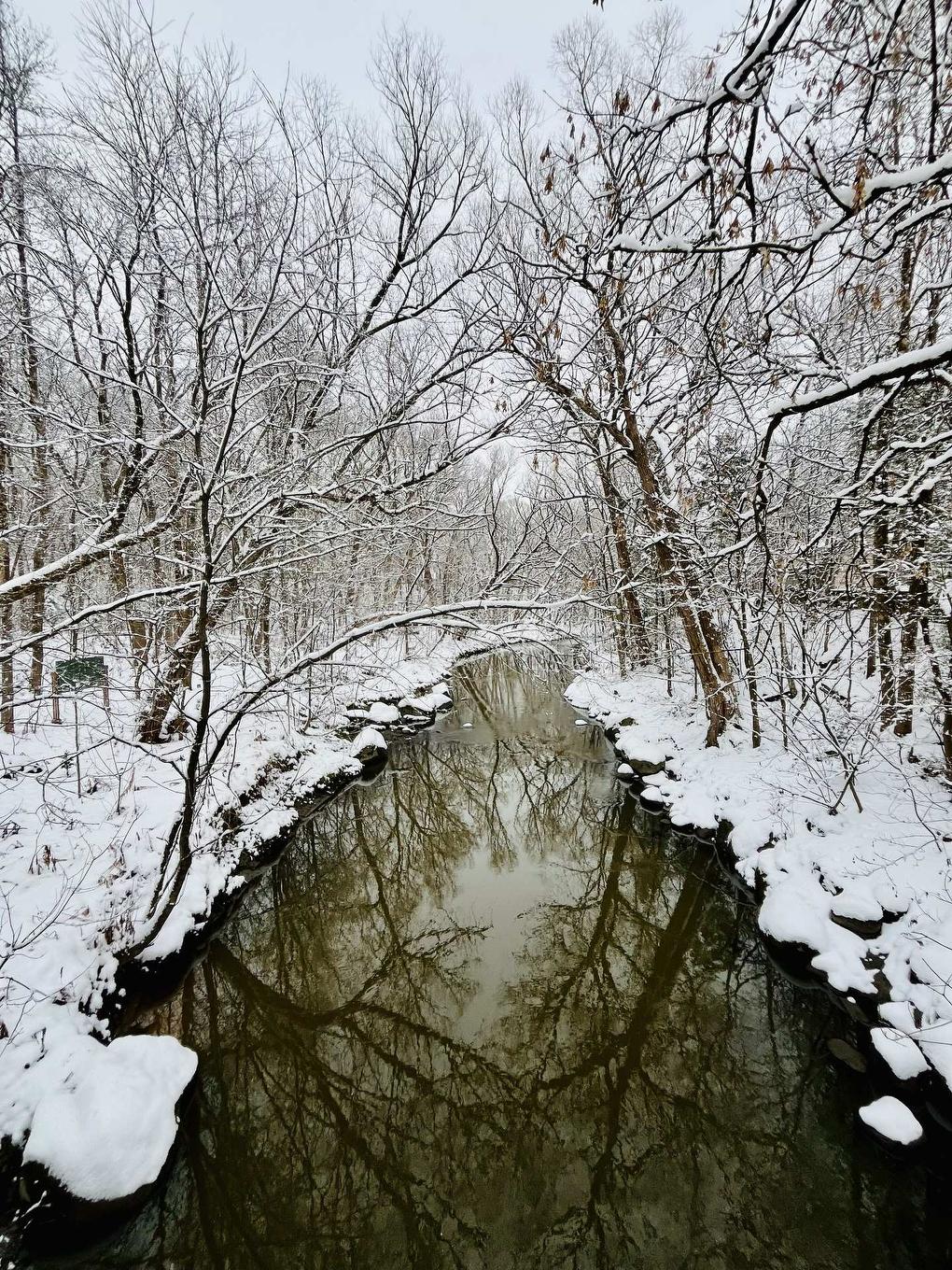 Autre - 4115 Rue François-Boulet, Québec (Sainte-Foy/Sillery/Cap-Rouge), QC