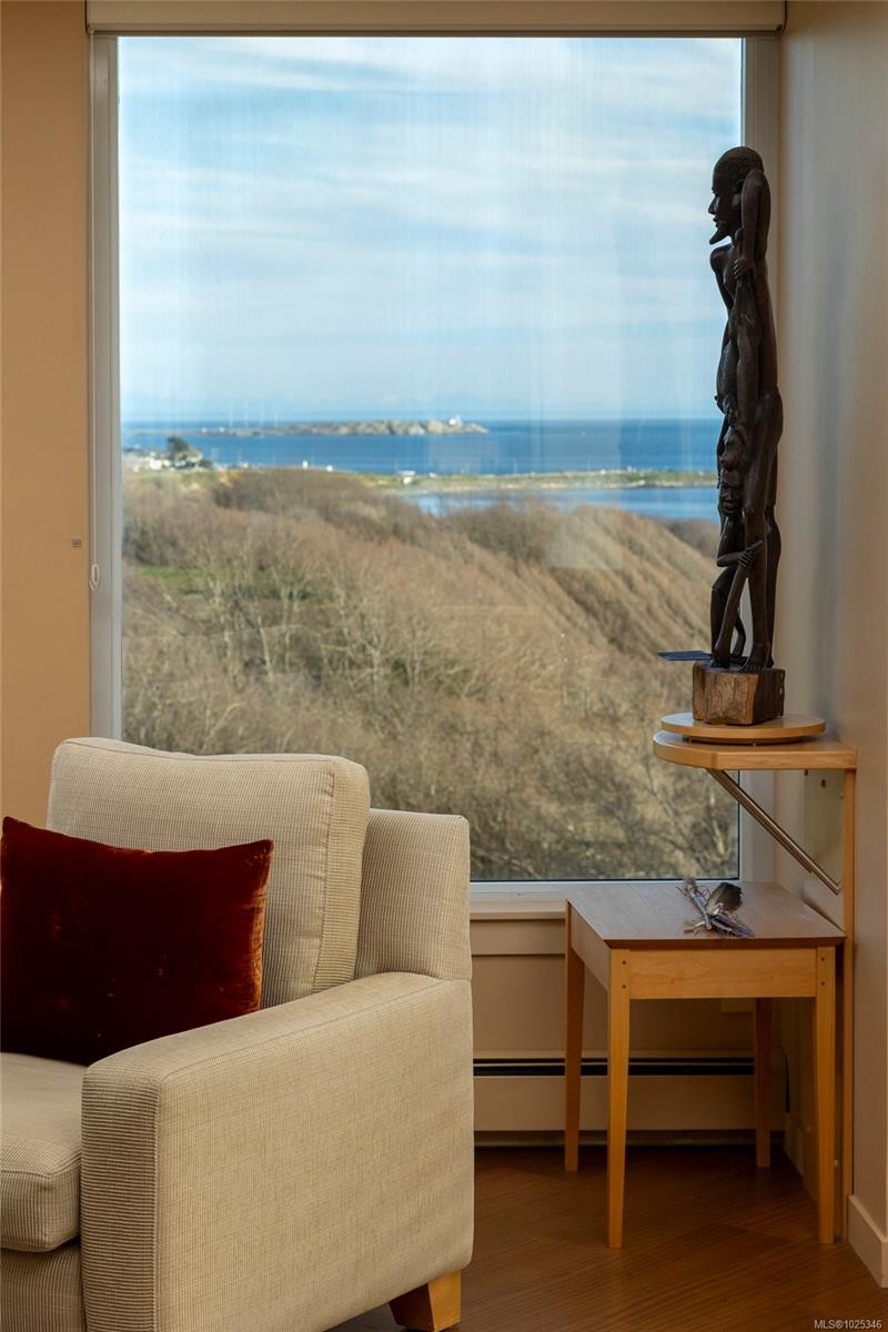 902-670 Dallas Rd, Victoria, BC - Indoor Photo Showing Other Room