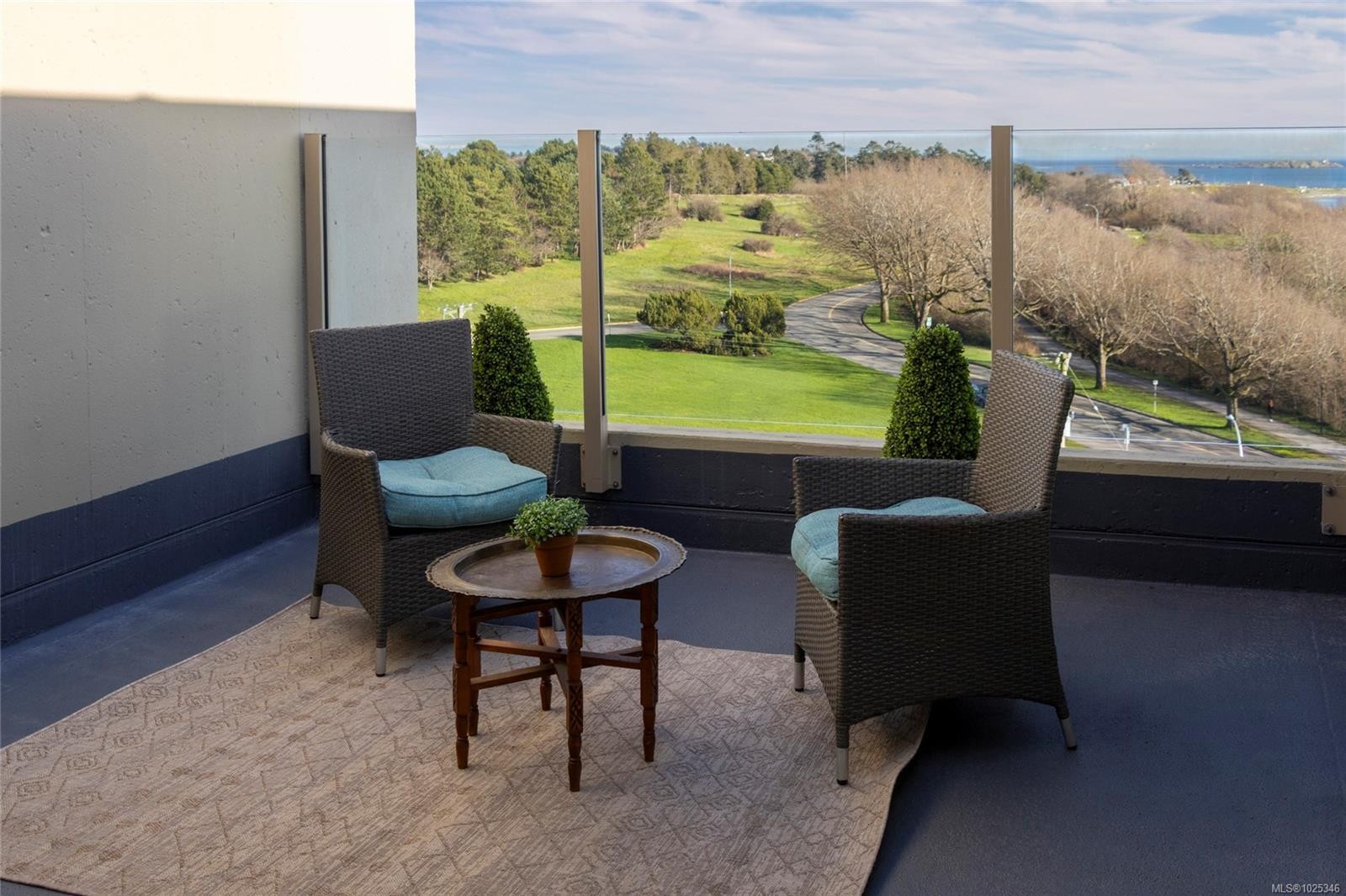 902-670 Dallas Rd, Victoria, BC - Outdoor