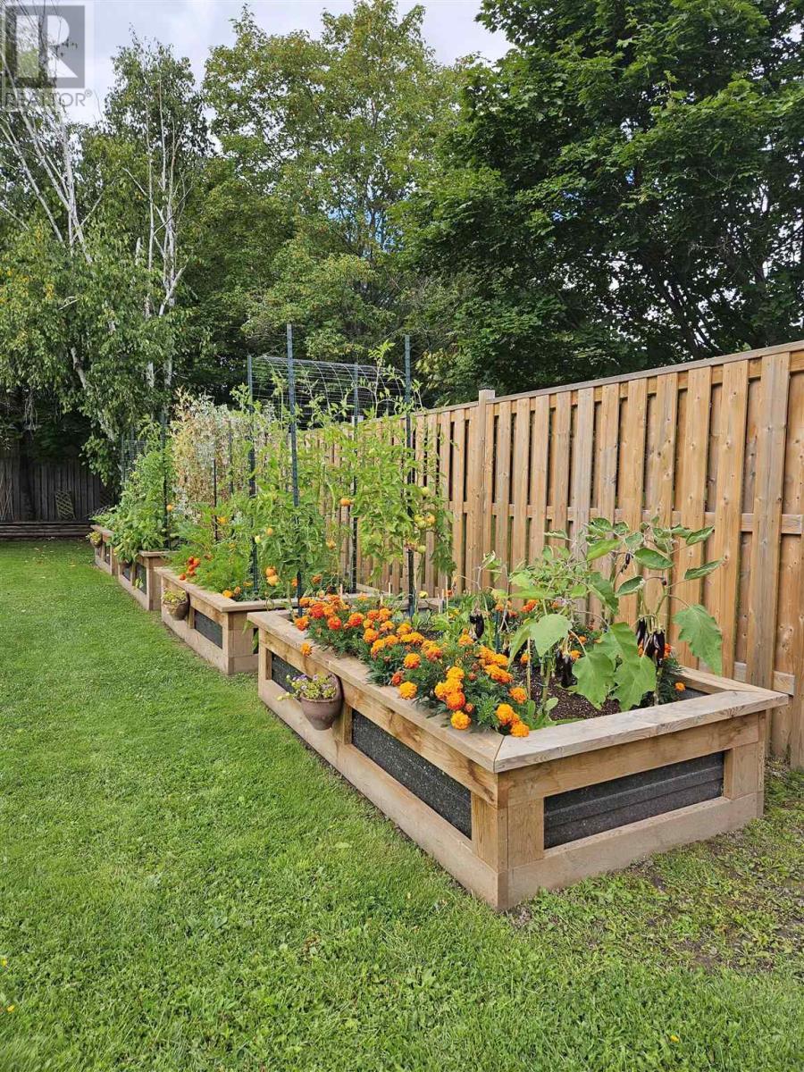 28 Parker Ave, Sault Ste. Marie, ON - Outdoor