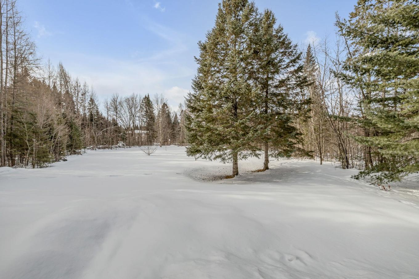 Extérieur - 2 Imp. Des Labours, Stoneham-Et-Tewkesbury, QC - Outdoor With View