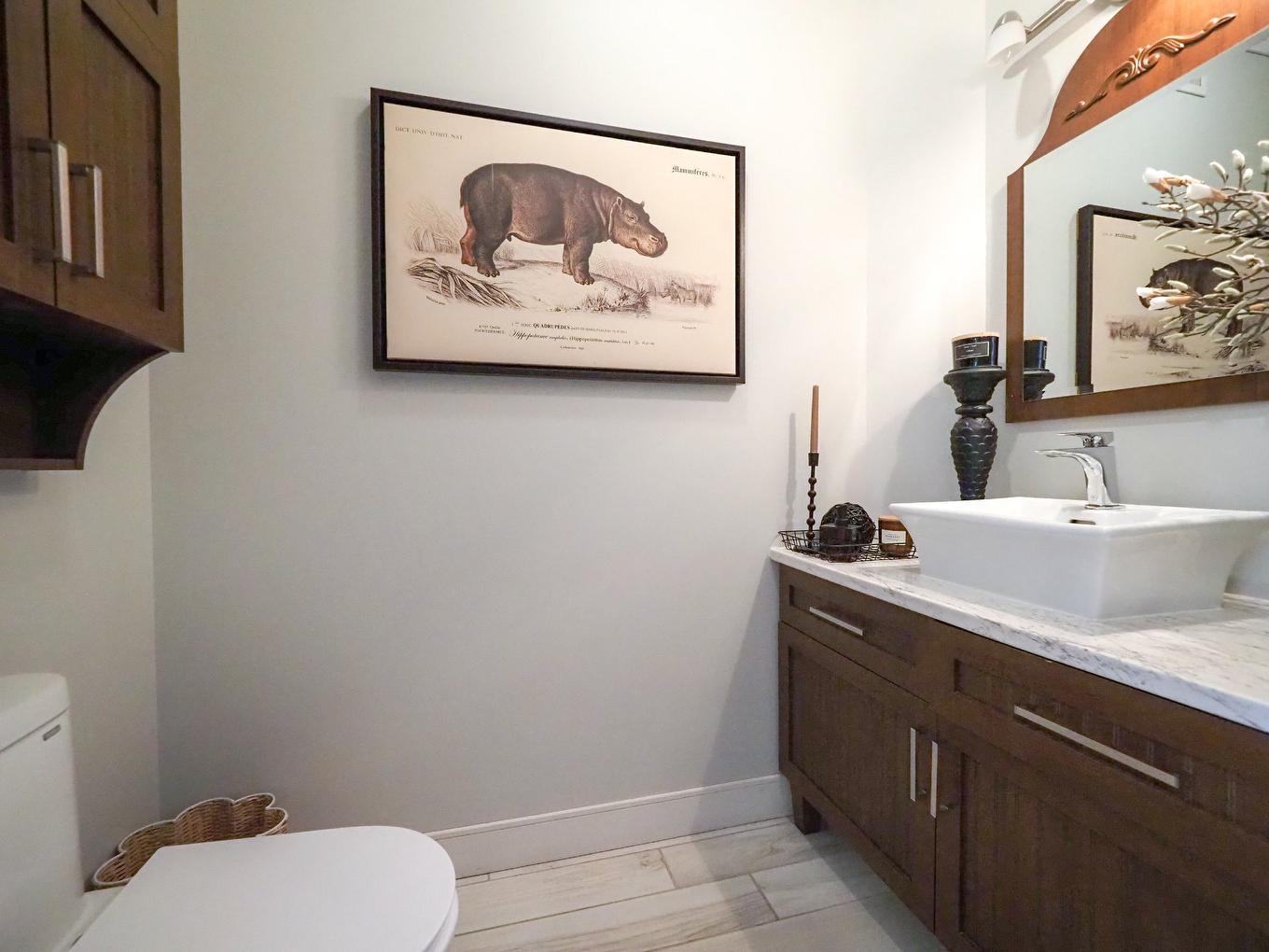 Powder room - 255 Rue Des Fuchsias, Trois-Rivières, QC - Indoor Photo Showing Bathroom