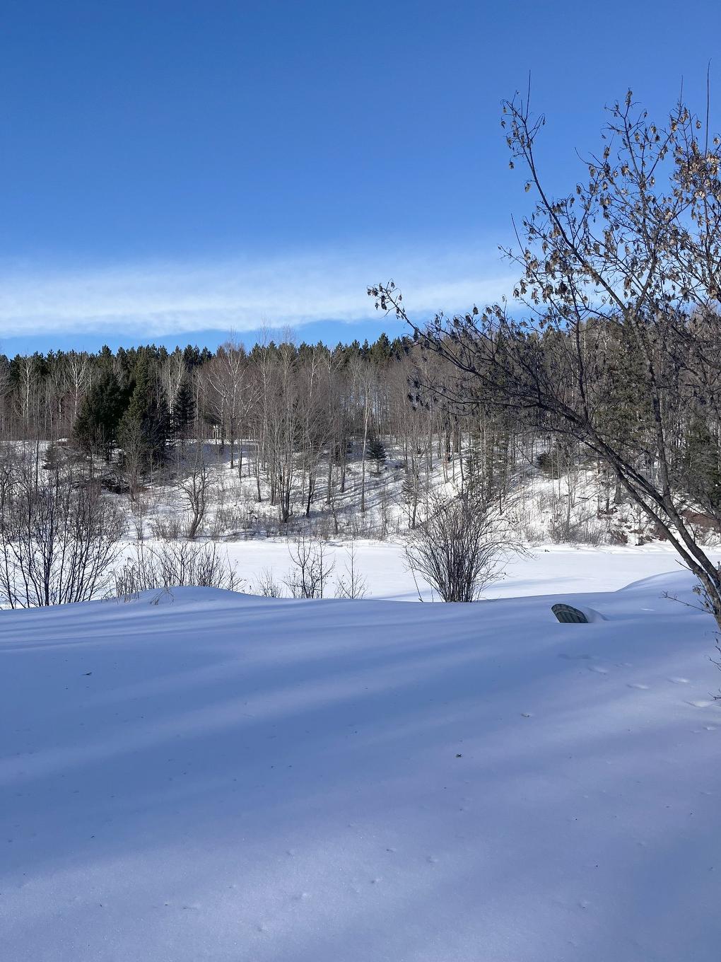 Extérieur - 17 Ch. Des Neufs-Milles, Notre-Dame-De-La-Paix, QC - Outdoor With View
