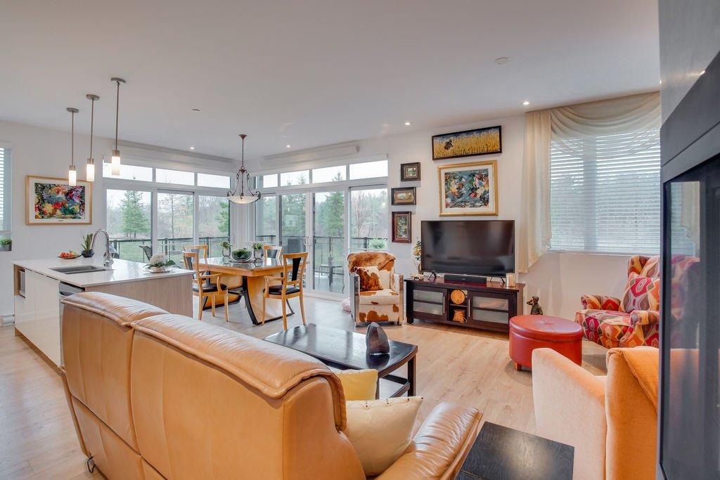 Vue d'ensemble - 105-435 Rue De L'Atmosphère, Gatineau (Aylmer), QC - Indoor Photo Showing Living Room