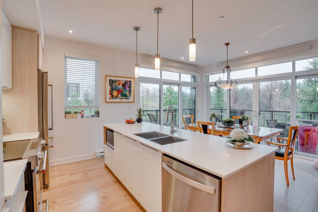 Cuisine - 105-435 Rue De L'Atmosphère, Gatineau (Aylmer), QC - Indoor Photo Showing Kitchen With Double Sink With Upgraded Kitchen