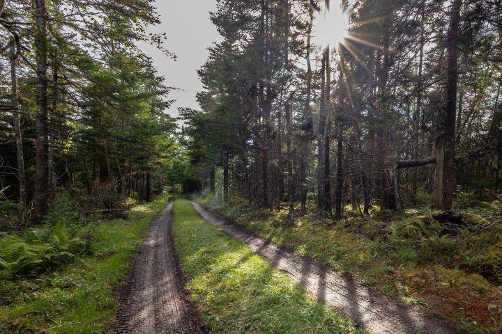 8132 Gabarus Highway, Gabarus, NS