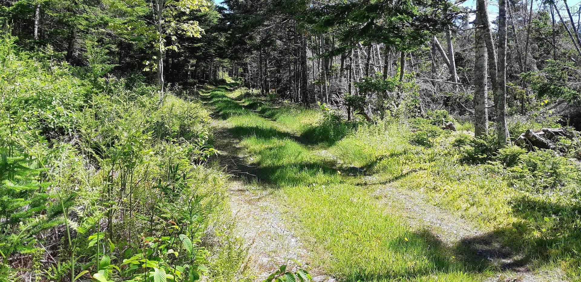 8132 Gabarus Highway, Gabarus, NS
