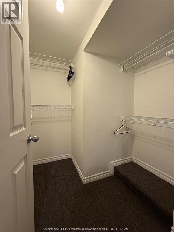 647 Irvine Unit# 301, Windsor, ON - Indoor With Storage
