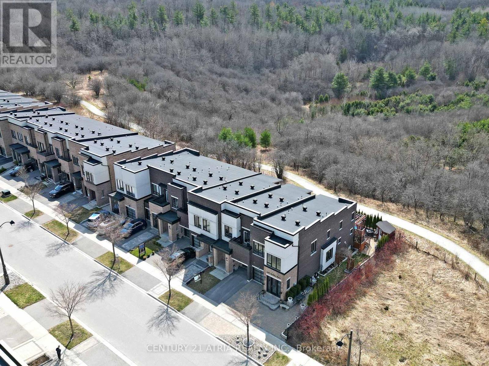 105 Anchusa Drive, Richmond Hill, ON - Outdoor With View