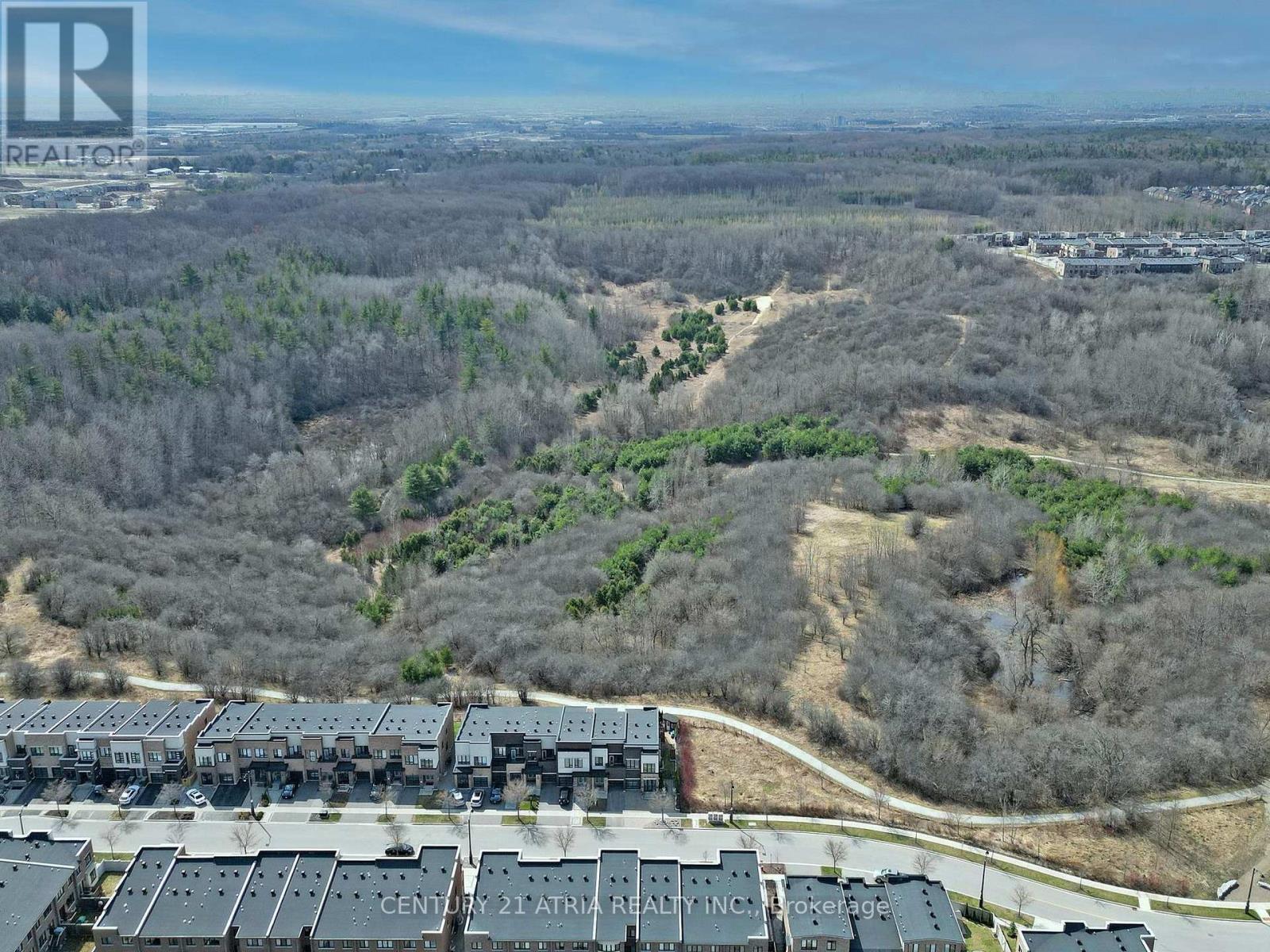 105 Anchusa Drive, Richmond Hill, ON - Outdoor With View