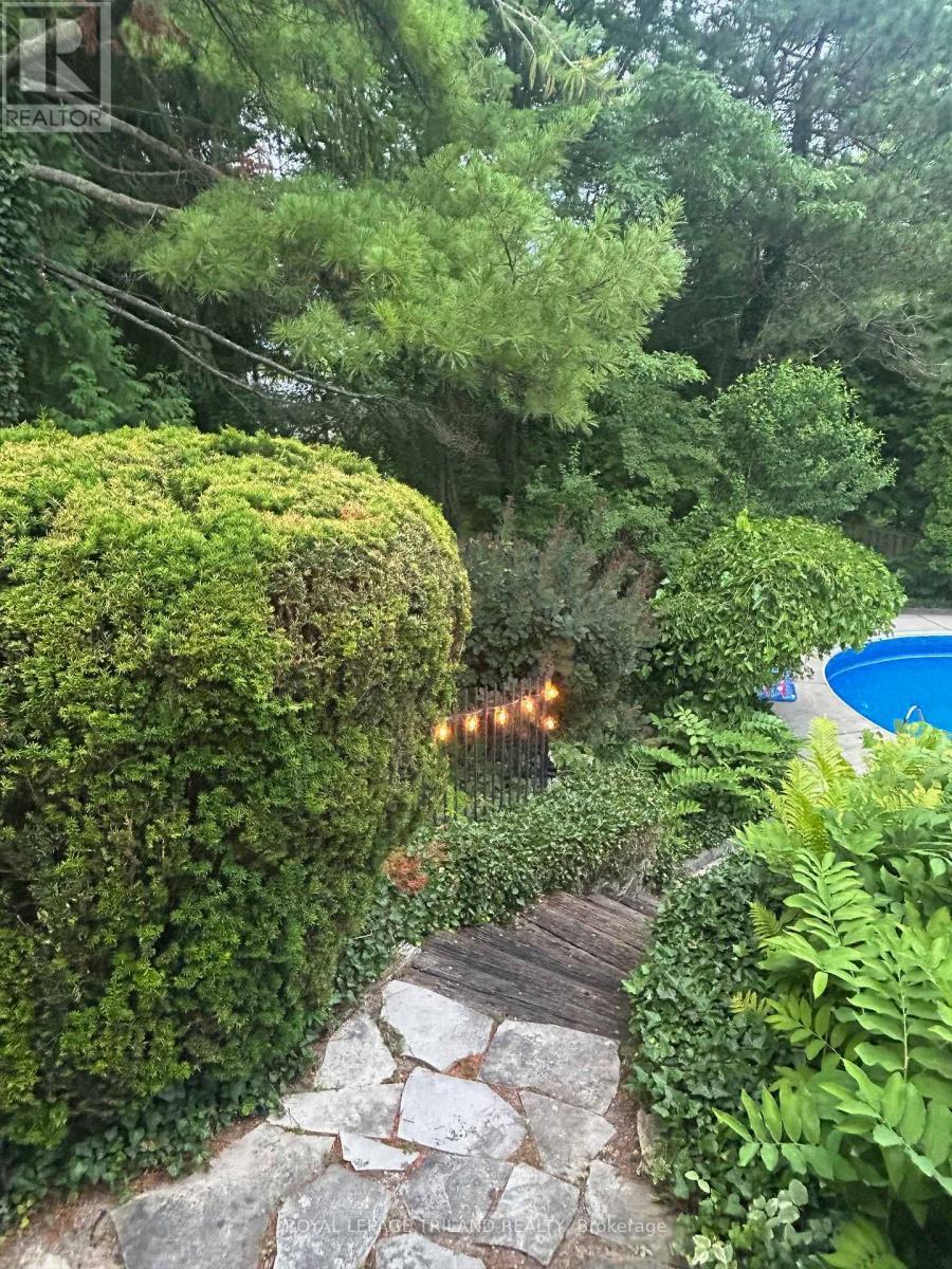 Backyard - 88 Salem Court, London South (South P), ON - Outdoor With In Ground Pool