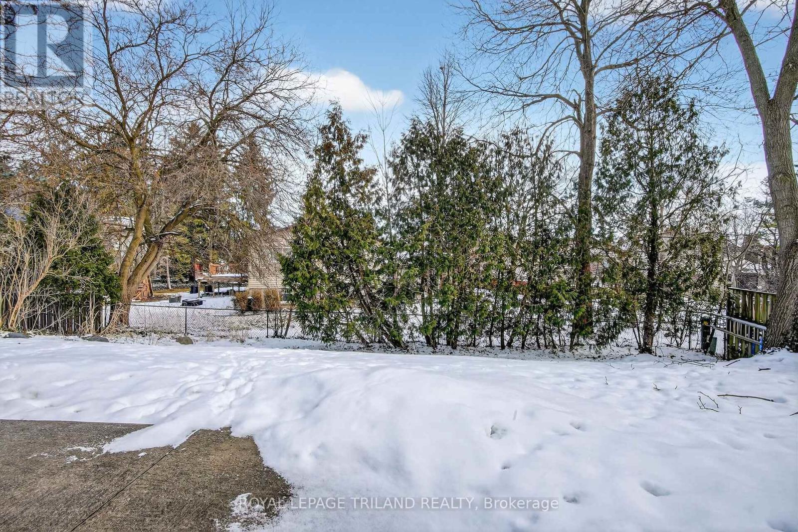 Backyard - 88 Salem Court, London South (South P), ON - Outdoor With View