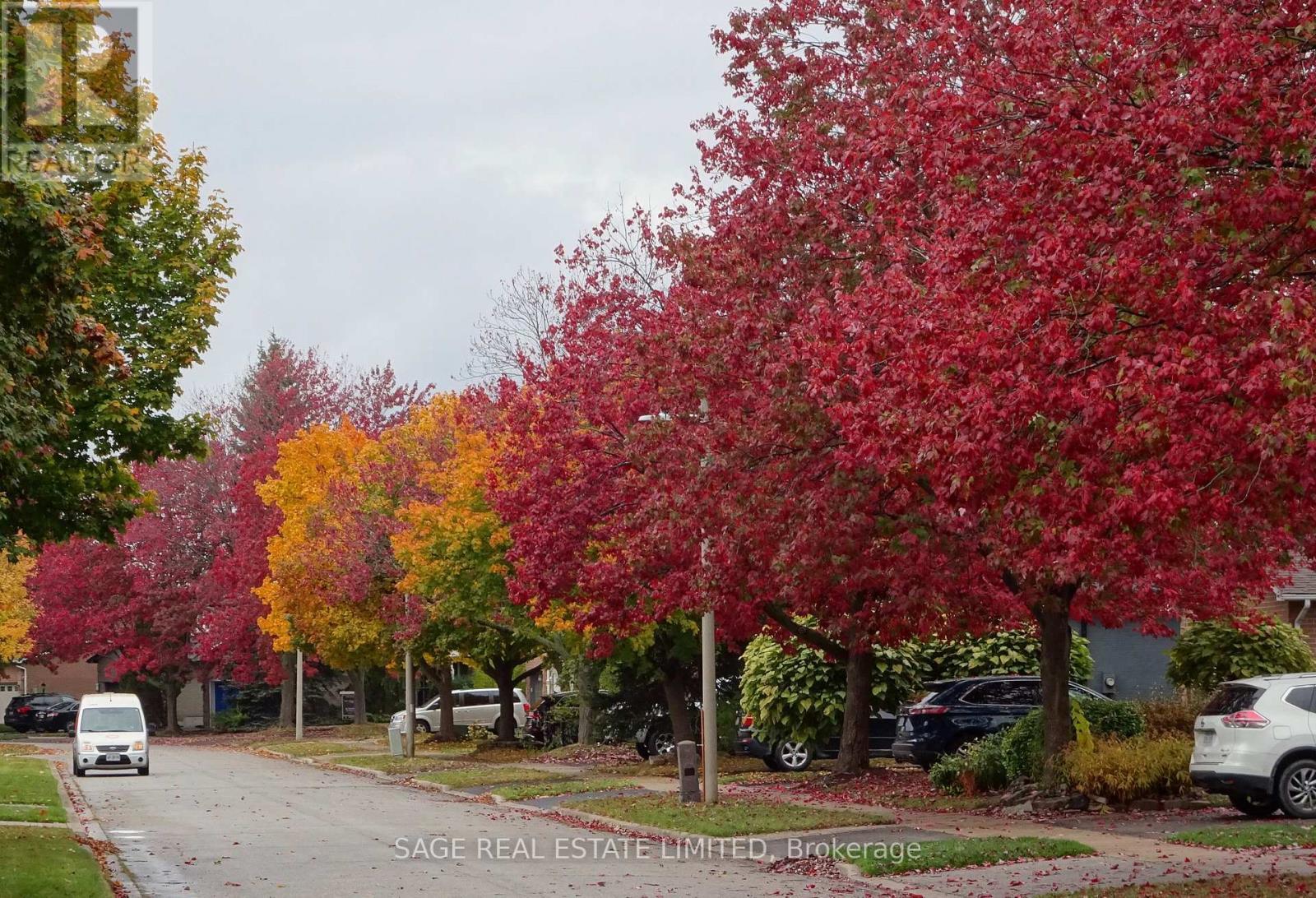 3036 Swansea Drive, Oakville, ON - Outdoor