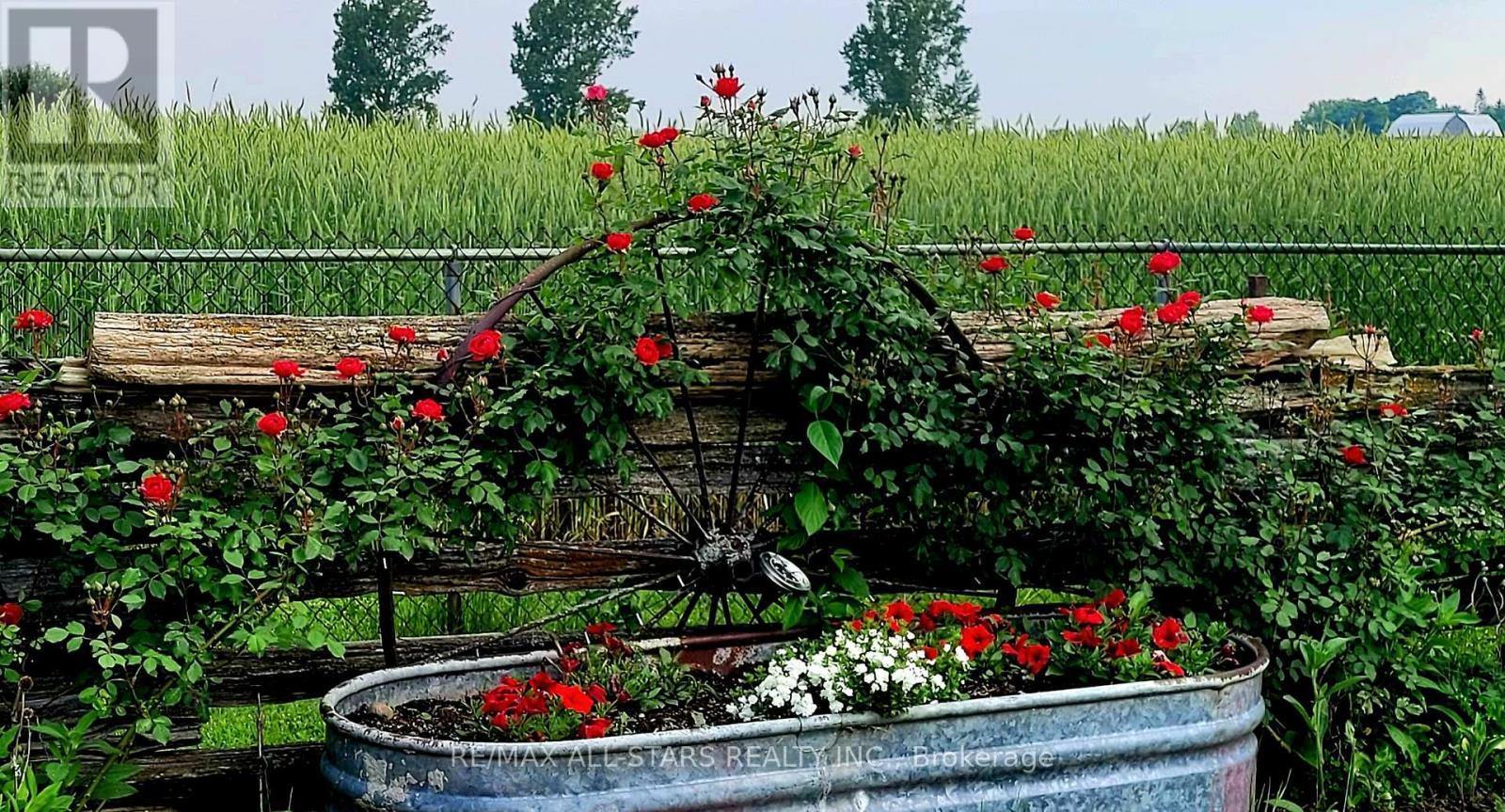 874 Monarch Road, Kawartha Lakes (Lindsay), ON - Outdoor