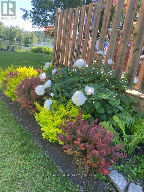 49 Cooke Armstrong Road, Quinte West (Sidney Ward), ON - Outdoor