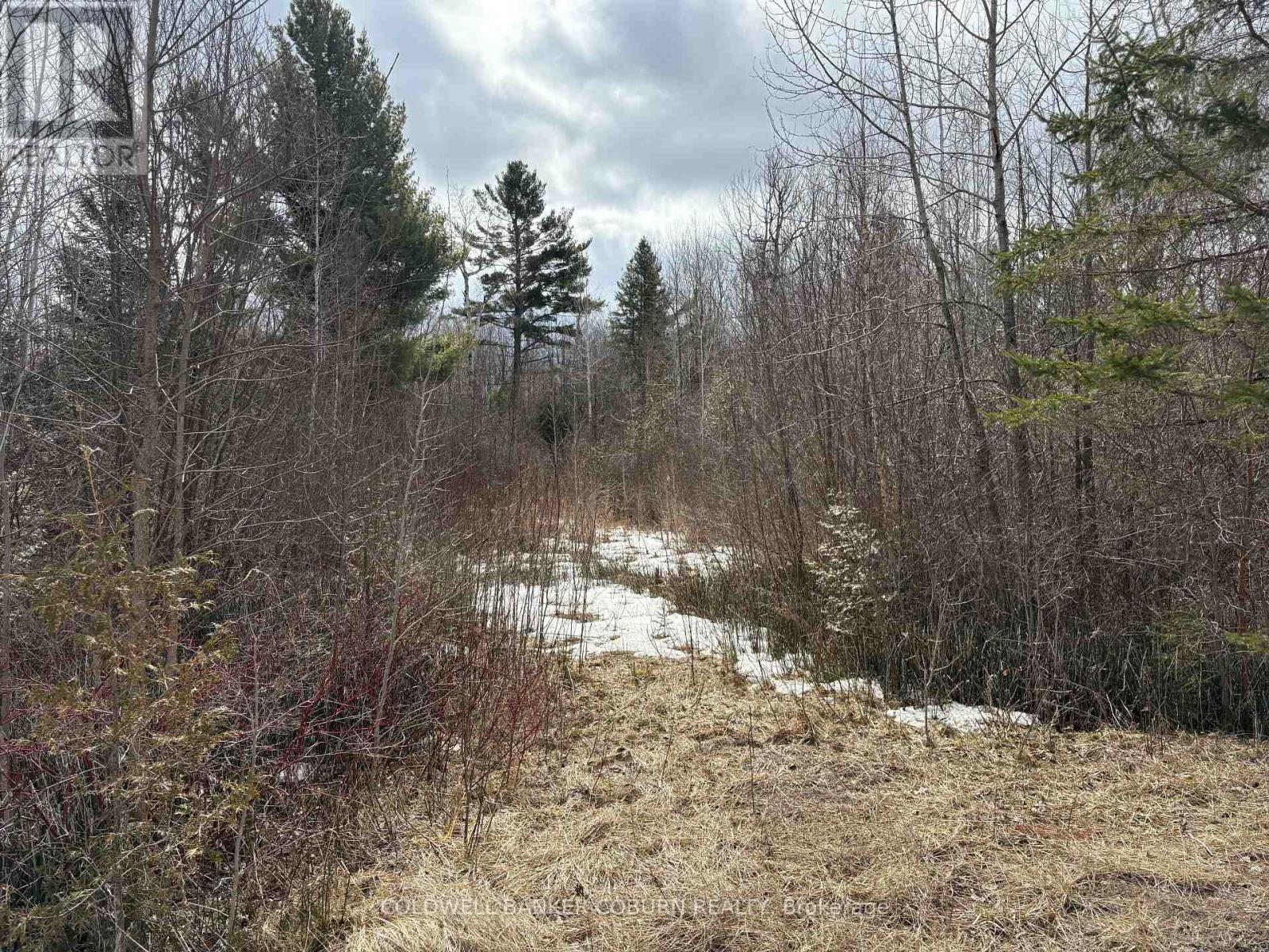 2035 Ventnor Road, Edwardsburgh/Cardinal, ON