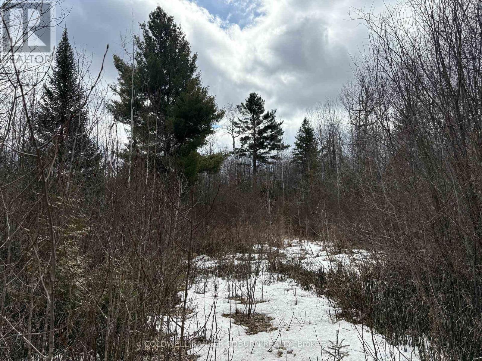 2035 Ventnor Road, Edwardsburgh/Cardinal, ON