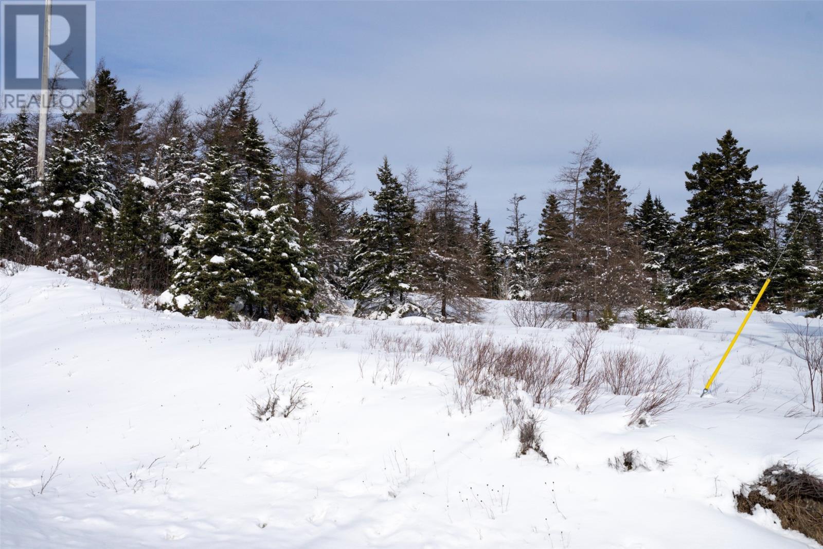 0 River Rd, Blaketown, NL