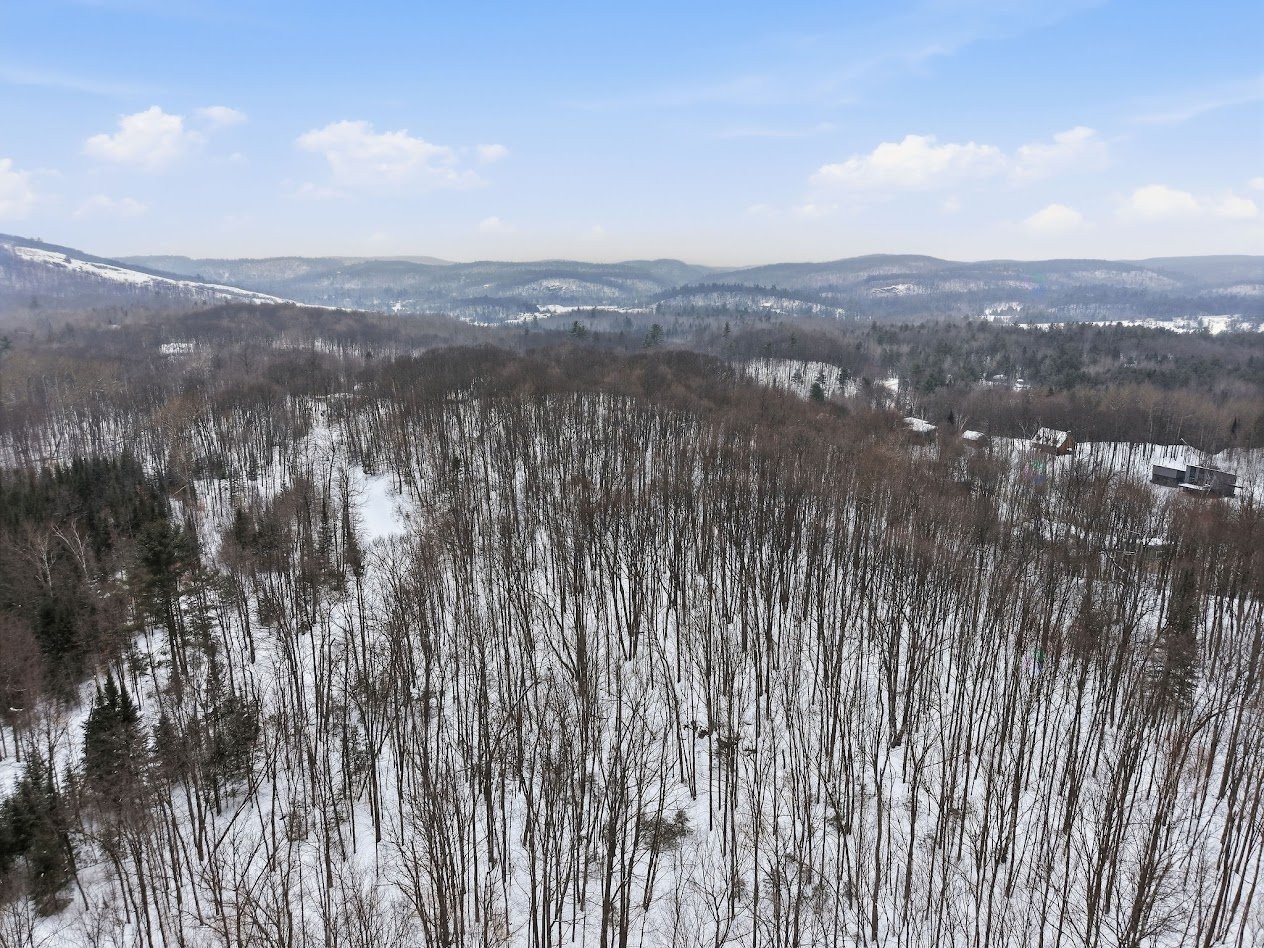 Overall view - Ch. Townline, Cantley, QC