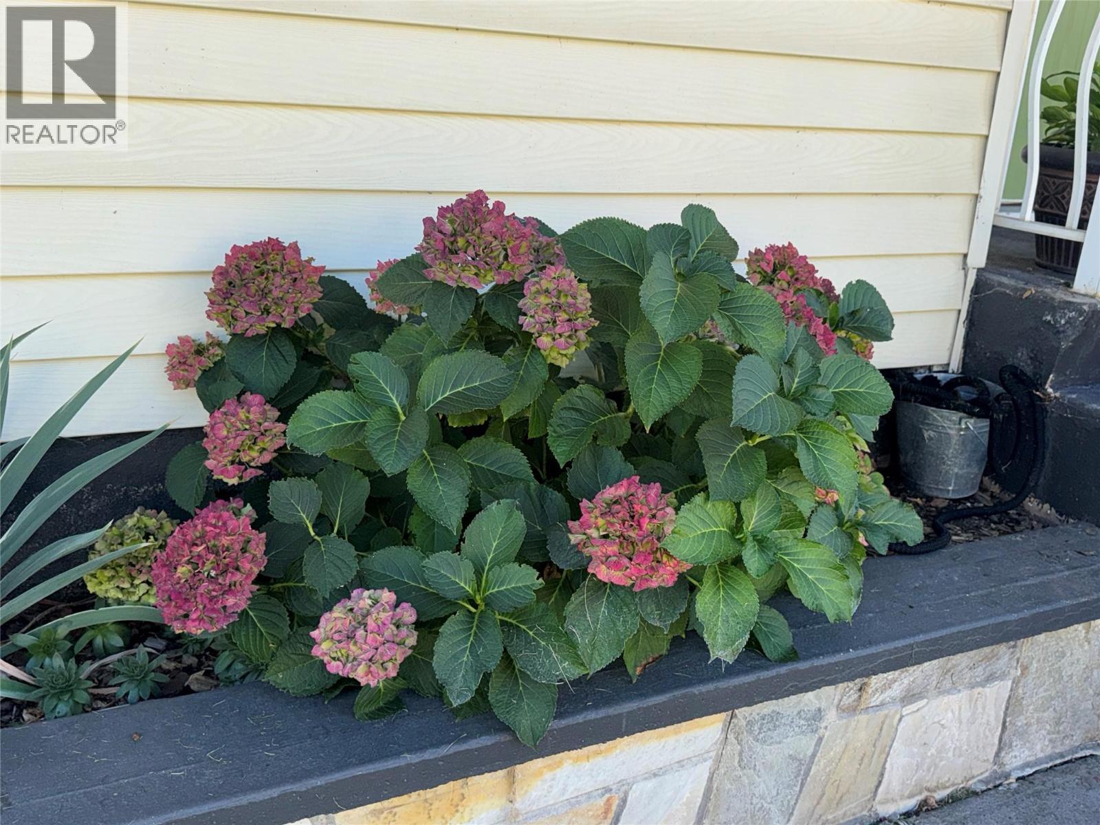 3130 Iris Crescent, Trail, BC - Outdoor