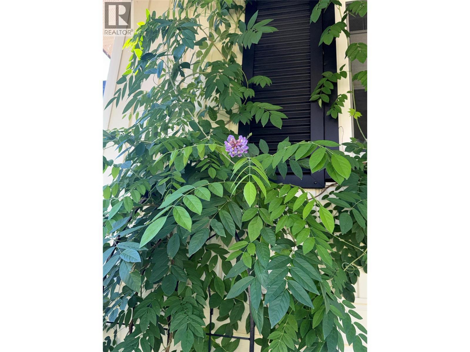 3130 Iris Crescent, Trail, BC -