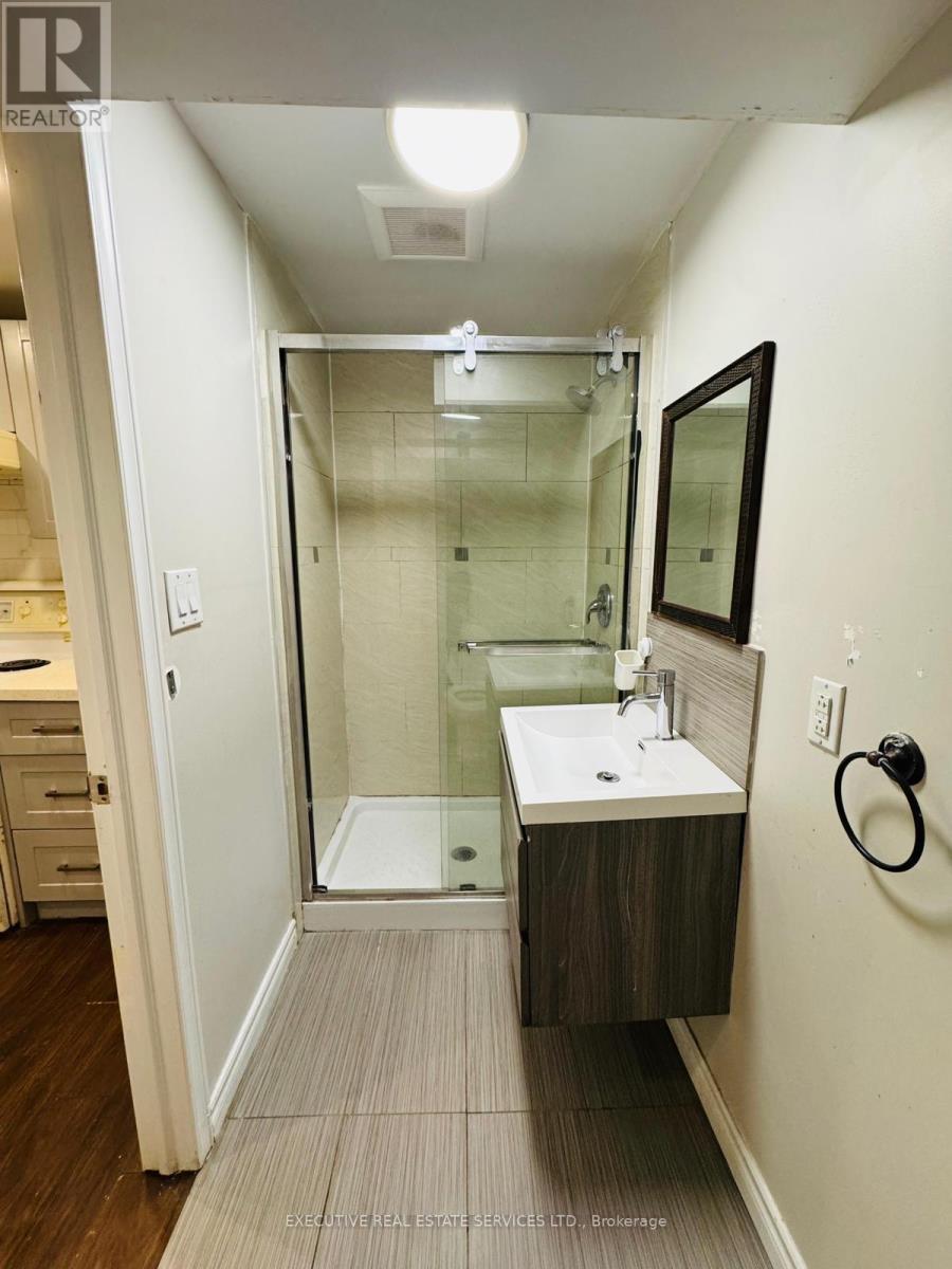 Bsmnt - 246 Doubtfire Crescent, Markham, ON - Indoor Photo Showing Bathroom