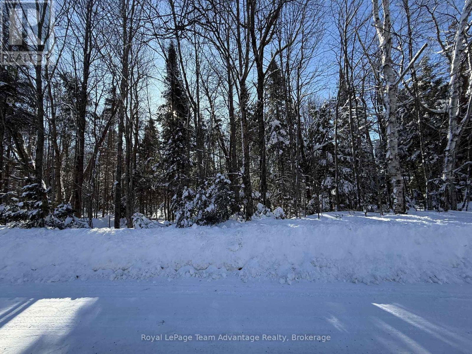 0 Lakeview Drive E, Ryerson, ON