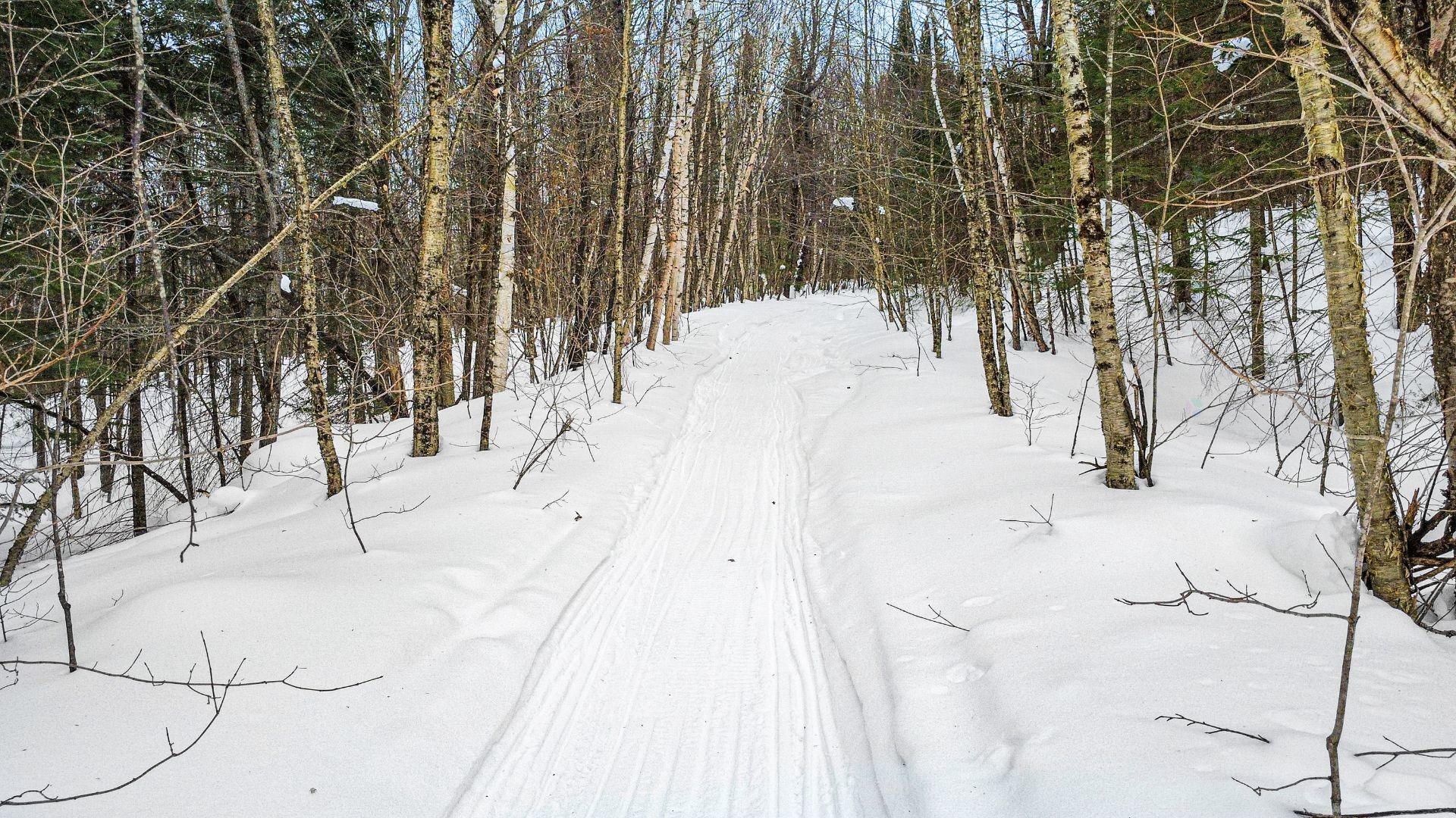 Lot - Ch. Laporte, Saint-Adolphe-D'Howard, QC